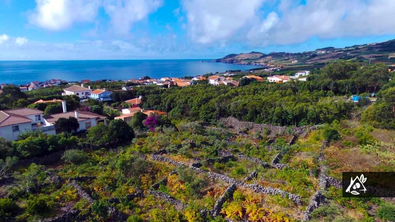 Quinta do Paraíso Porto Martins Exterior foto